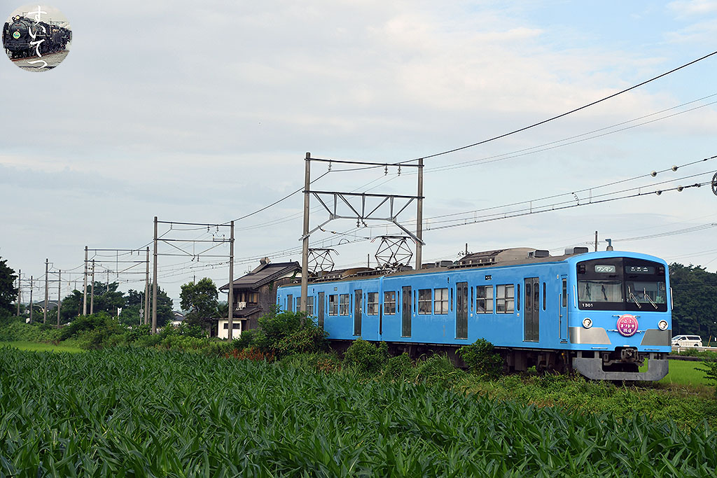 f:id:hato_express:20210728203019j:plain