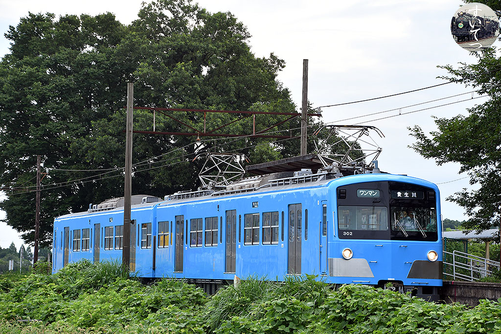 f:id:hato_express:20210804222434j:plain