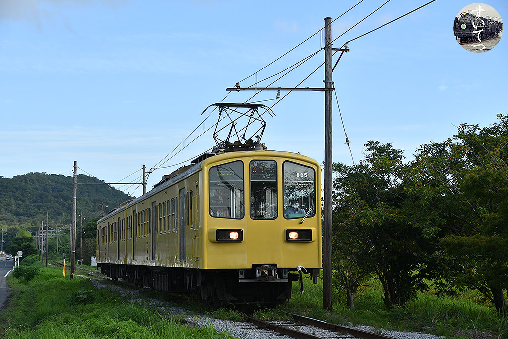 f:id:hato_express:20210831203002j:plain