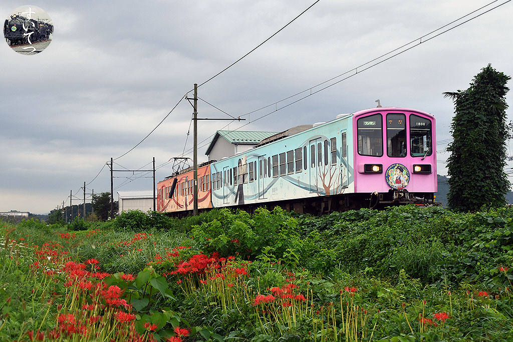 f:id:hato_express:20210916200024j:plain