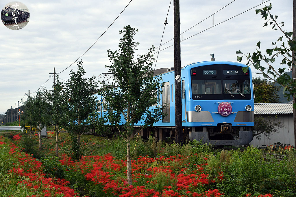 f:id:hato_express:20210920214149j:plain