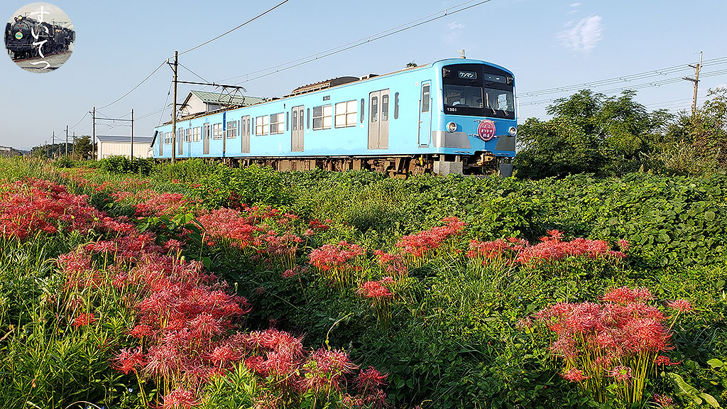 f:id:hato_express:20210925221307j:plain