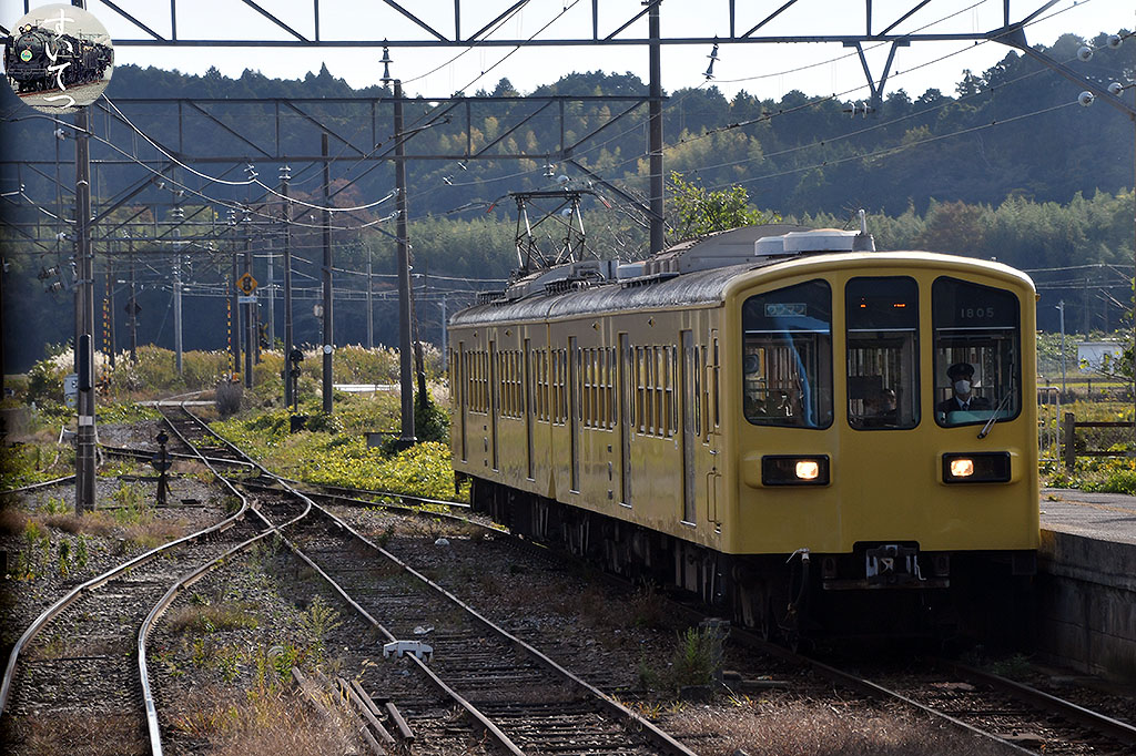 f:id:hato_express:20211108012431j:plain