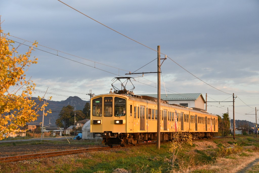 f:id:hato_express:20211128233738j:plain