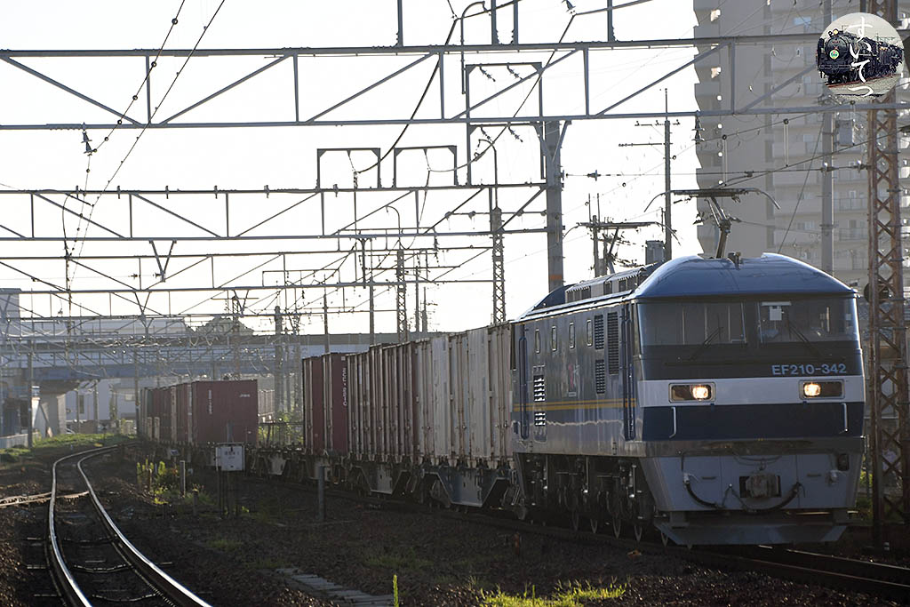 一週間の新収穫 カンガルー＆福通＆新鋭機！ （2022.7/30～8/5