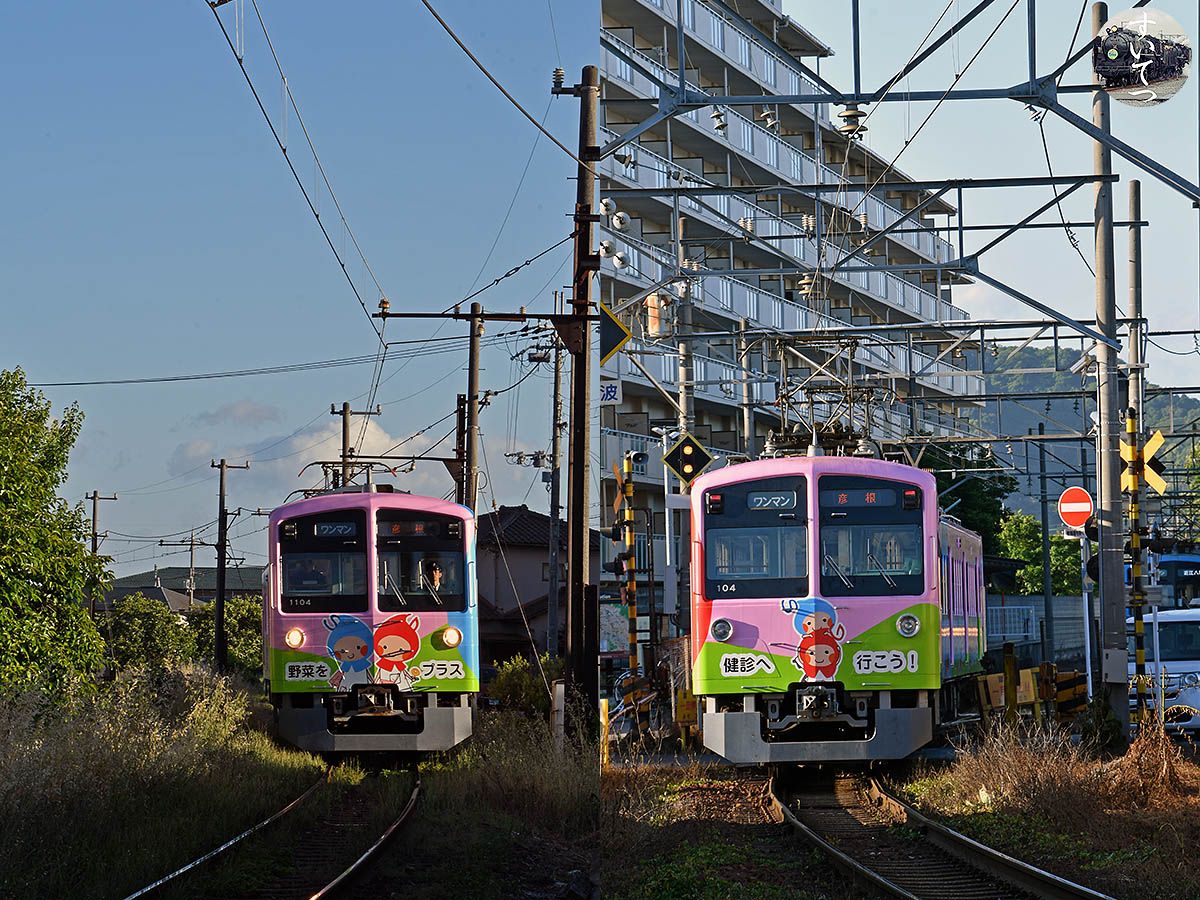 ピンクの電車と 甲種輸送と 2023.6/3-4② - 気ままな 汽車好き
