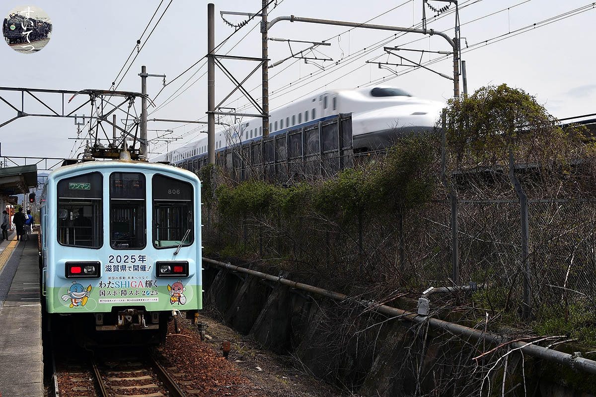 近江鉄道 行先不明の #ミステリー列車 - 気ままな 汽車好き