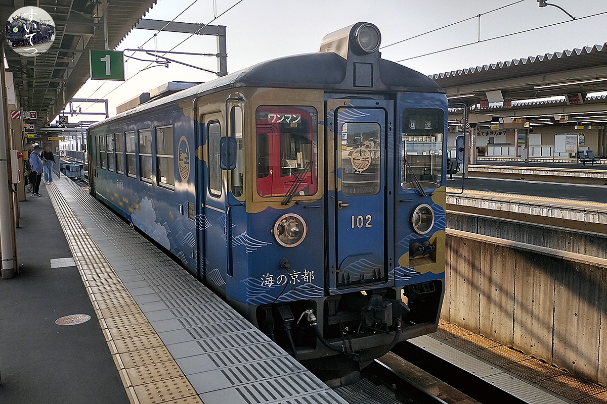 牡丹 1年半ぶりにギムノカリキウム・緋牡丹錦（LB2178交配錦）を植え