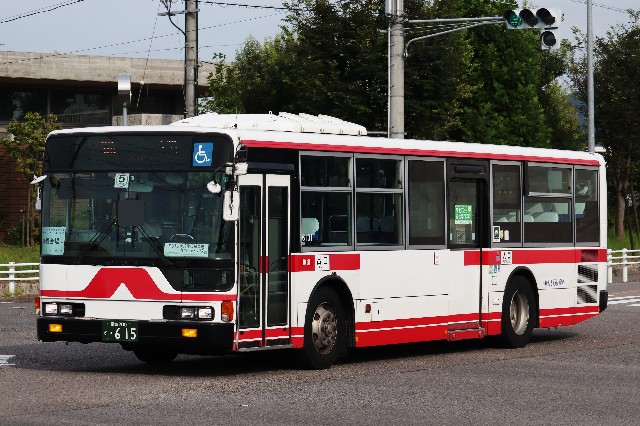 宮城交通 岐阜バス 名鉄バスへ Hatoaegisのブログ