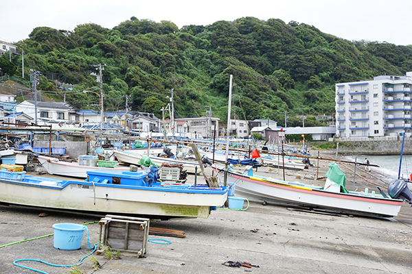 f:id:hatobasyokudo:20160918133438j:image f:id:hatobasyokudo:20160918133438j:image