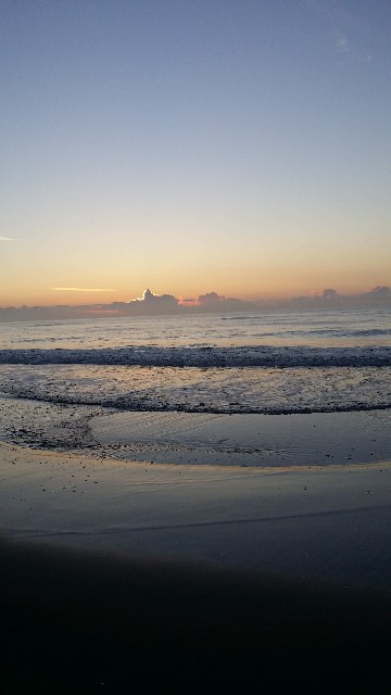 f:id:hatokun7:20200327225156j:image