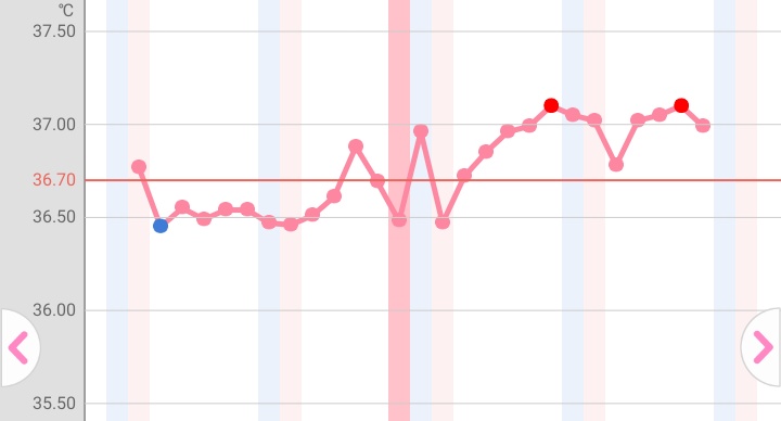 基礎体温2 28day 妊娠検査薬 Hatokono S Blog
