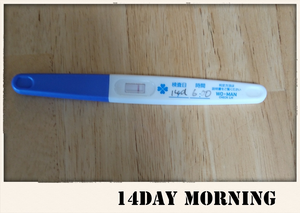 排卵予測検査薬 ３日目朝 14d Hatokono S Blog