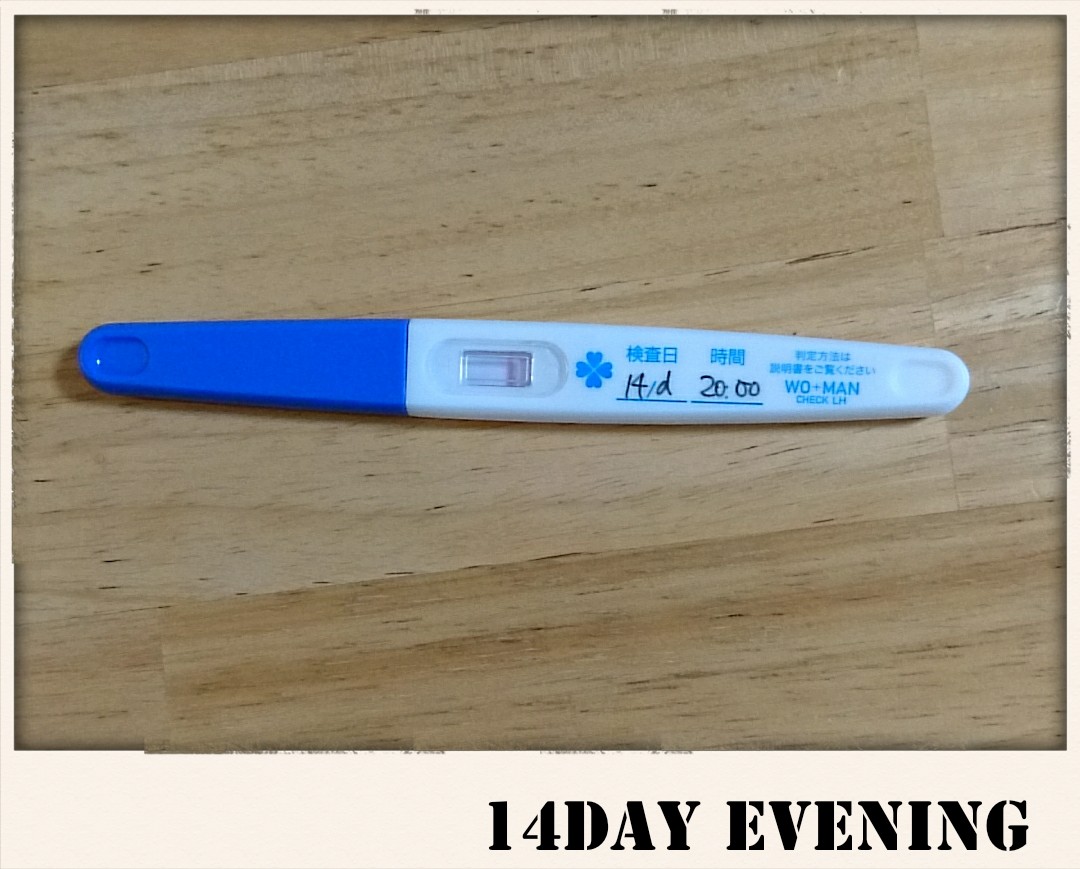 排卵予測検査薬 ３日目夜 14d Hatokono S Blog