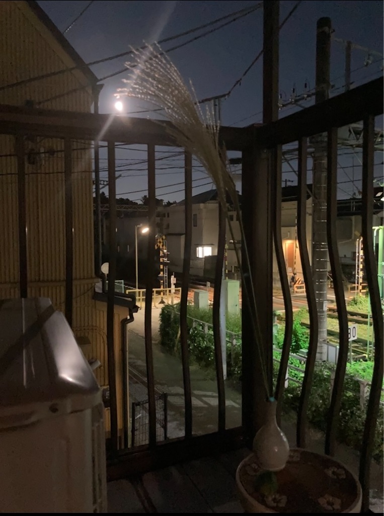 f:id:hatomoku:20251006210800j:image f:id:hatomoku:20251006210800j:image