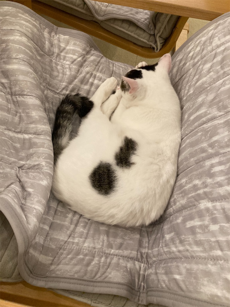 f:id:hatomoku:20251022152729j:image f:id:hatomoku:20251022152729j:image