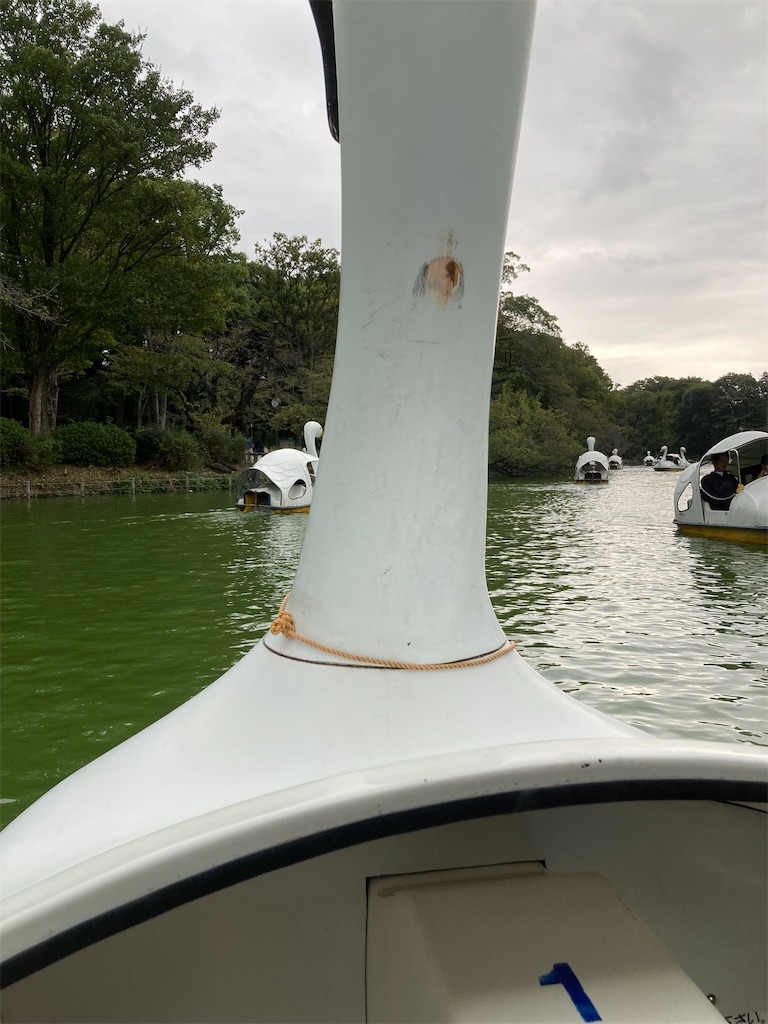 f:id:hatomoku:20251022154932j:image f:id:hatomoku:20251022154932j:image