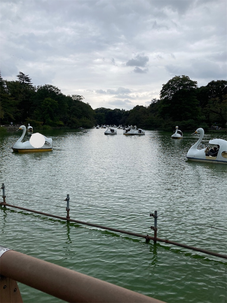 f:id:hatomoku:20251022155147j:image f:id:hatomoku:20251022155147j:image