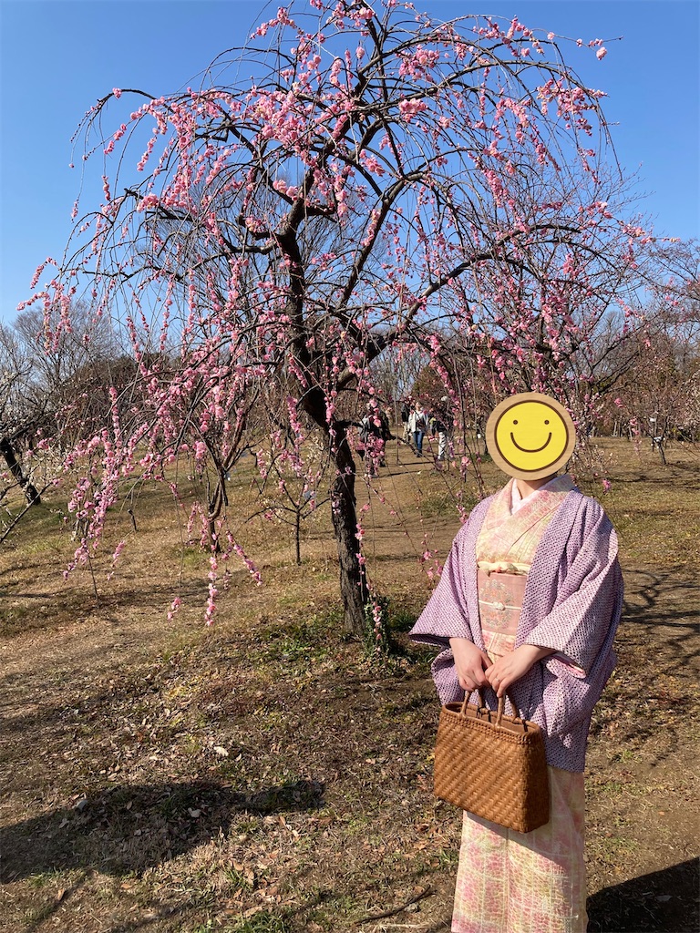 f:id:hatomoku:20260303160554j:image
