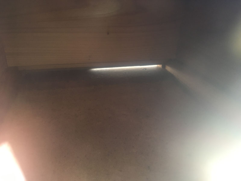 今日の底板の様子