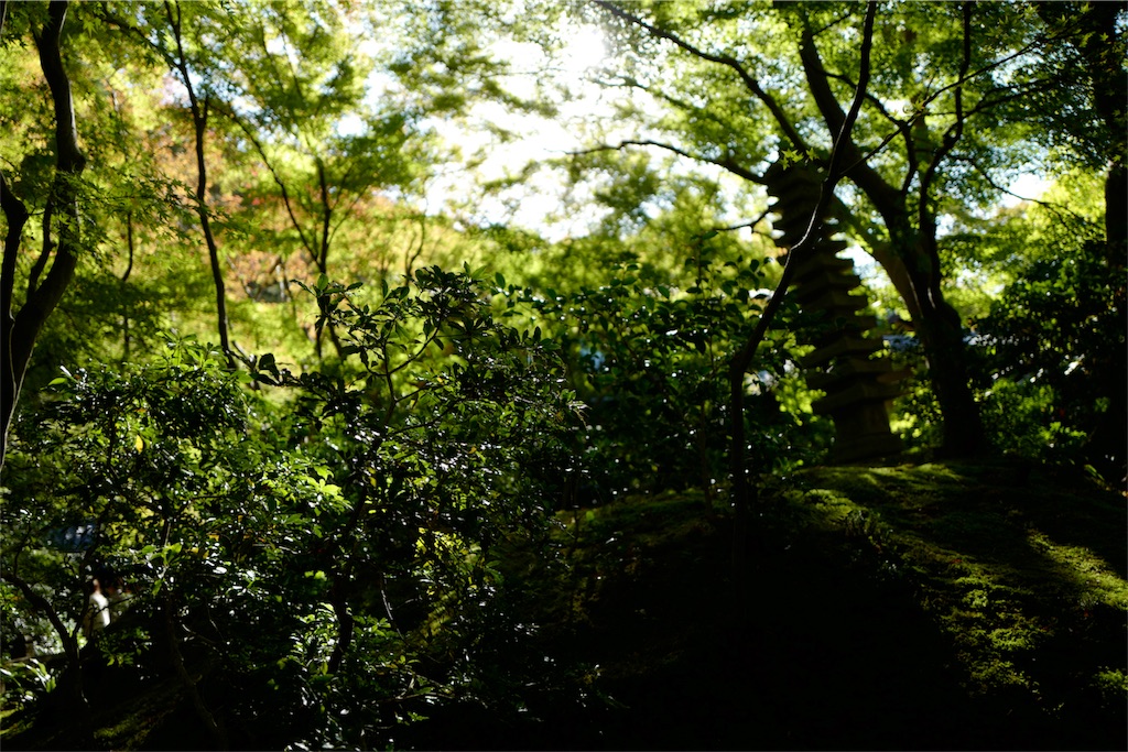 f:id:hatomunebba:20191114151204j:image f:id:hatomunebba:20191114151204j:image