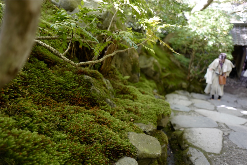 f:id:hatomunebba:20191114151207j:image f:id:hatomunebba:20191114151207j:image