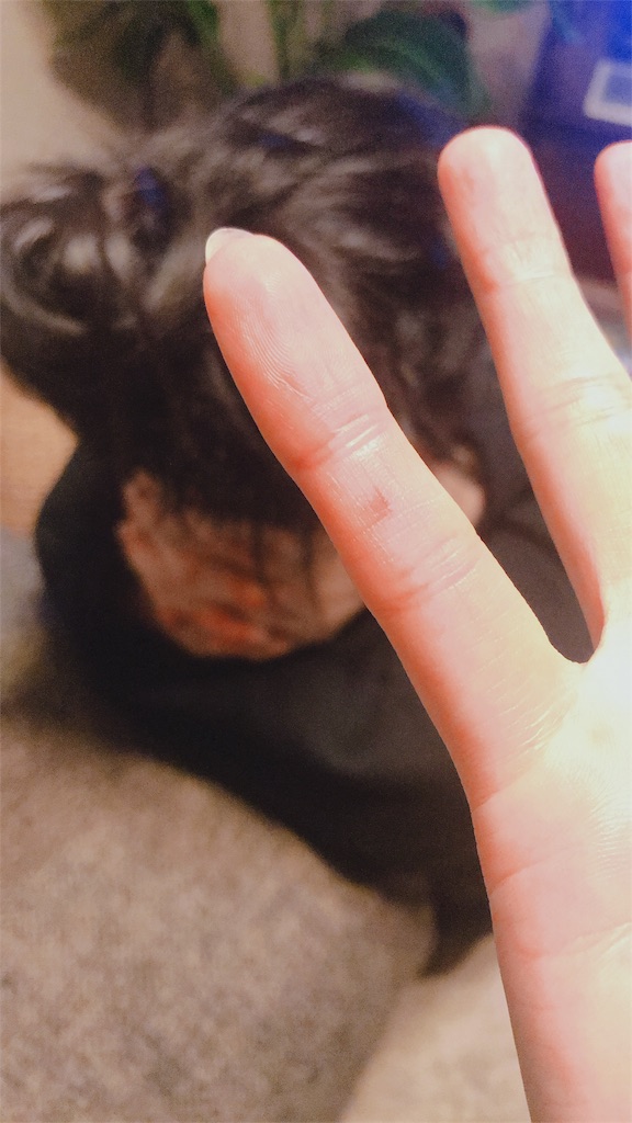 f:id:hatomunebba:20191223204301j:image f:id:hatomunebba:20191223204301j:image