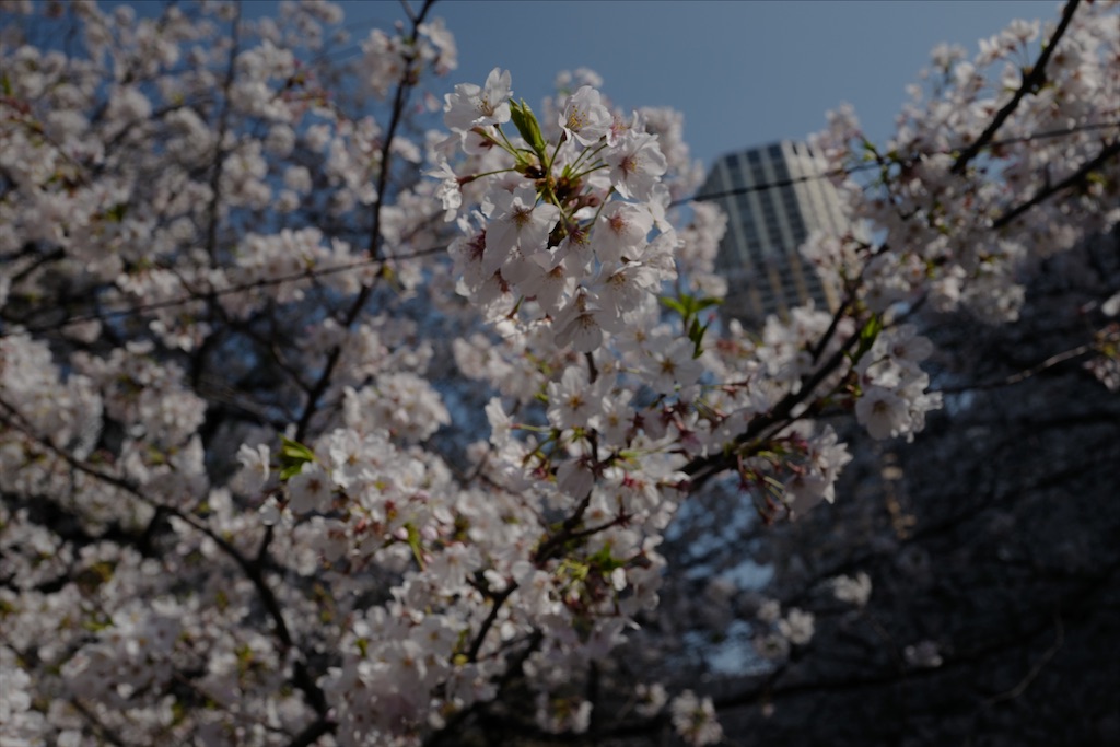 f:id:hatomunebba:20200403021548j:image f:id:hatomunebba:20200403021548j:image