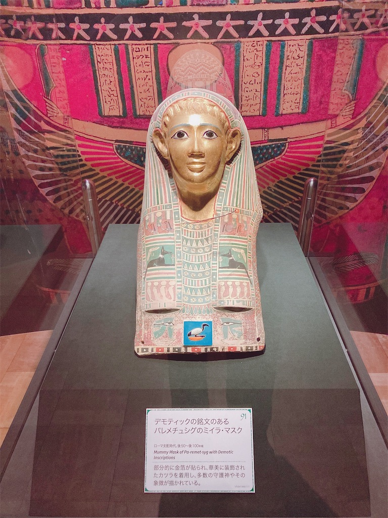 f:id:hatomunebba:20201204004634j:image f:id:hatomunebba:20201204004634j:image