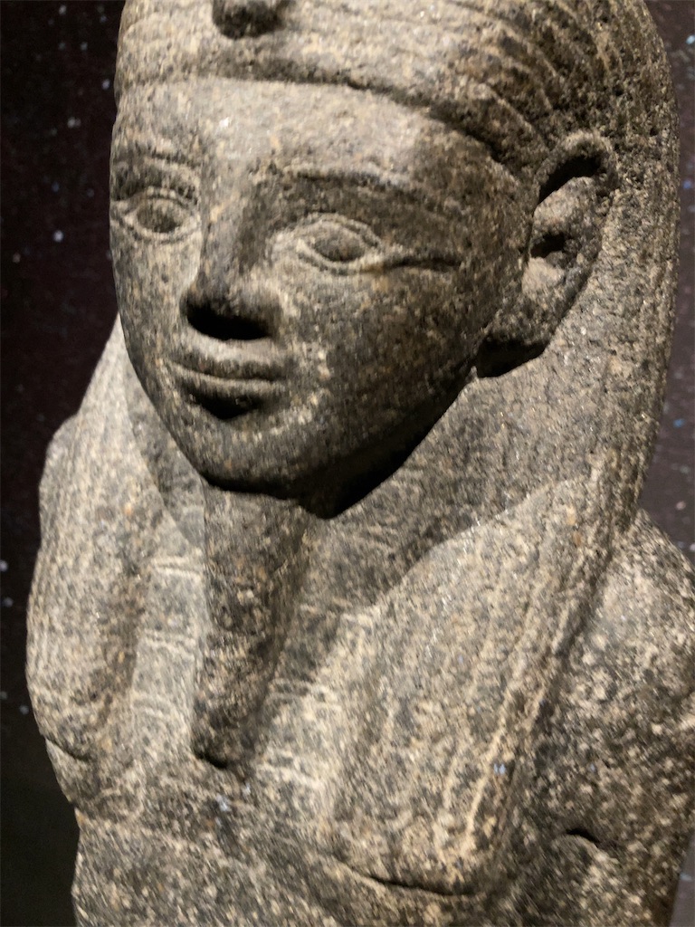 f:id:hatomunebba:20201204004723j:image f:id:hatomunebba:20201204004723j:image