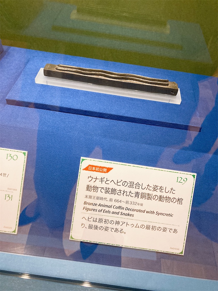 f:id:hatomunebba:20201204011423j:image f:id:hatomunebba:20201204011423j:image