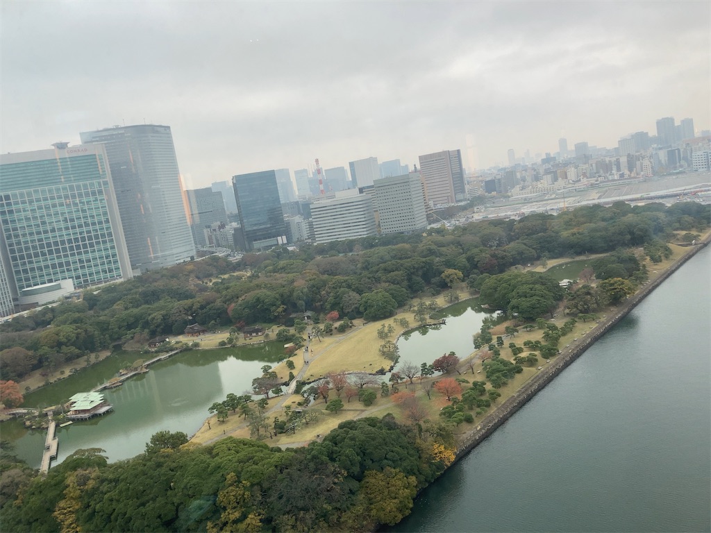 f:id:hatomunebba:20201204180048j:image