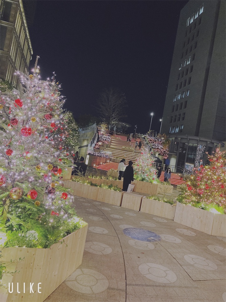 f:id:hatomunebba:20201211103203j:image