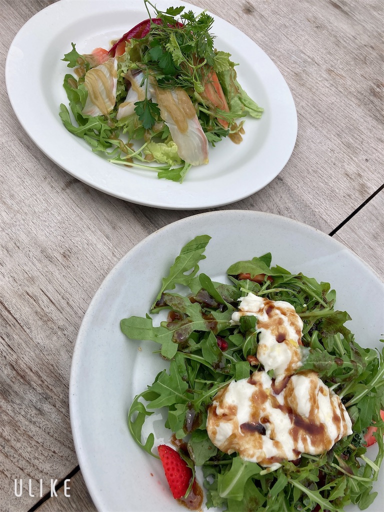 f:id:hatomunebba:20210527121915j:image f:id:hatomunebba:20210527121915j:image