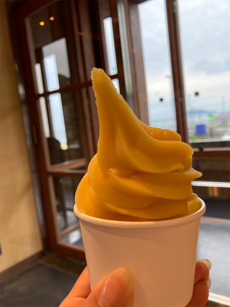 f:id:hatomunebba:20210527121956j:image f:id:hatomunebba:20210527121956j:image