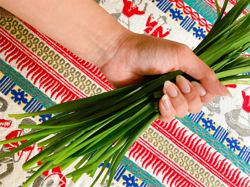 f:id:hatomunebba:20210527150515j:image