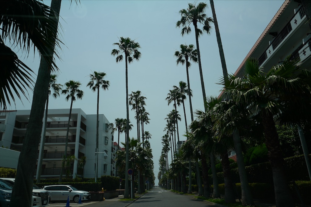 f:id:hatomunebba:20210613183304j:image f:id:hatomunebba:20210613183304j:image