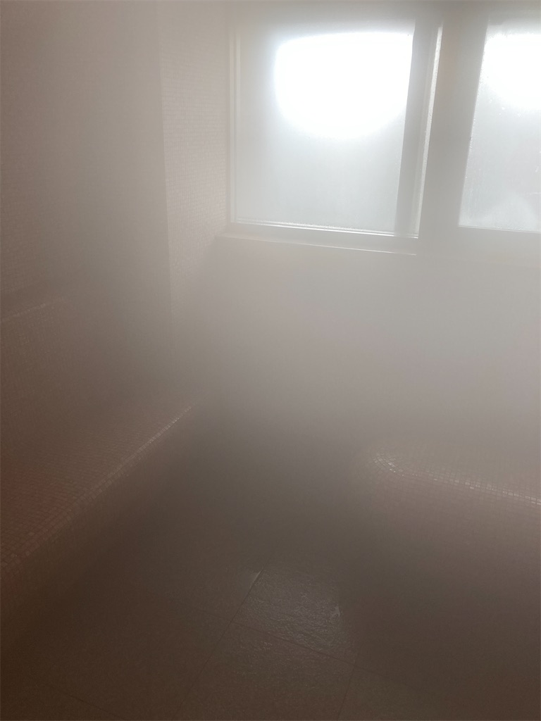 f:id:hatomunebba:20210809005806j:image f:id:hatomunebba:20210809005806j:image