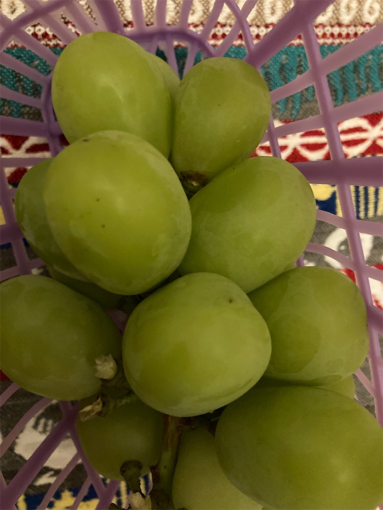 f:id:hatomunebba:20210914011605j:image f:id:hatomunebba:20210914011605j:image