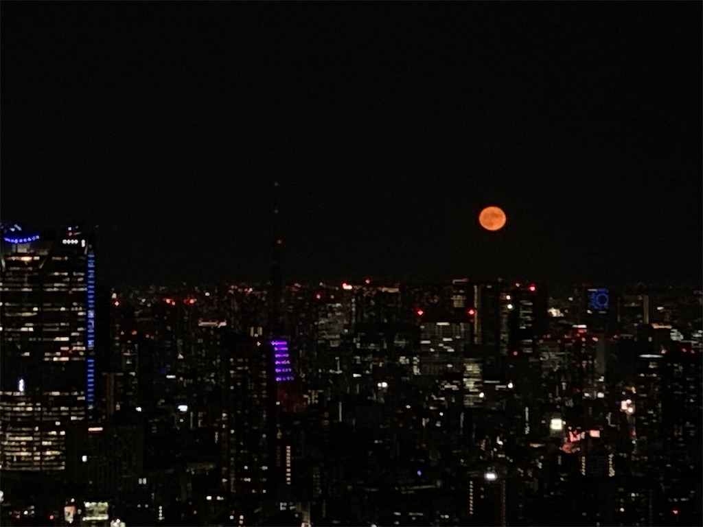 f:id:hatomunebba:20211004094145j:image f:id:hatomunebba:20211004094145j:image