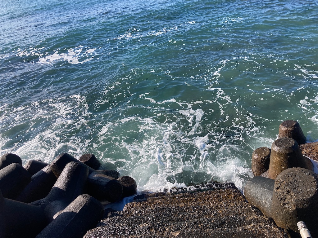 f:id:hatomunebba:20220223014112j:image