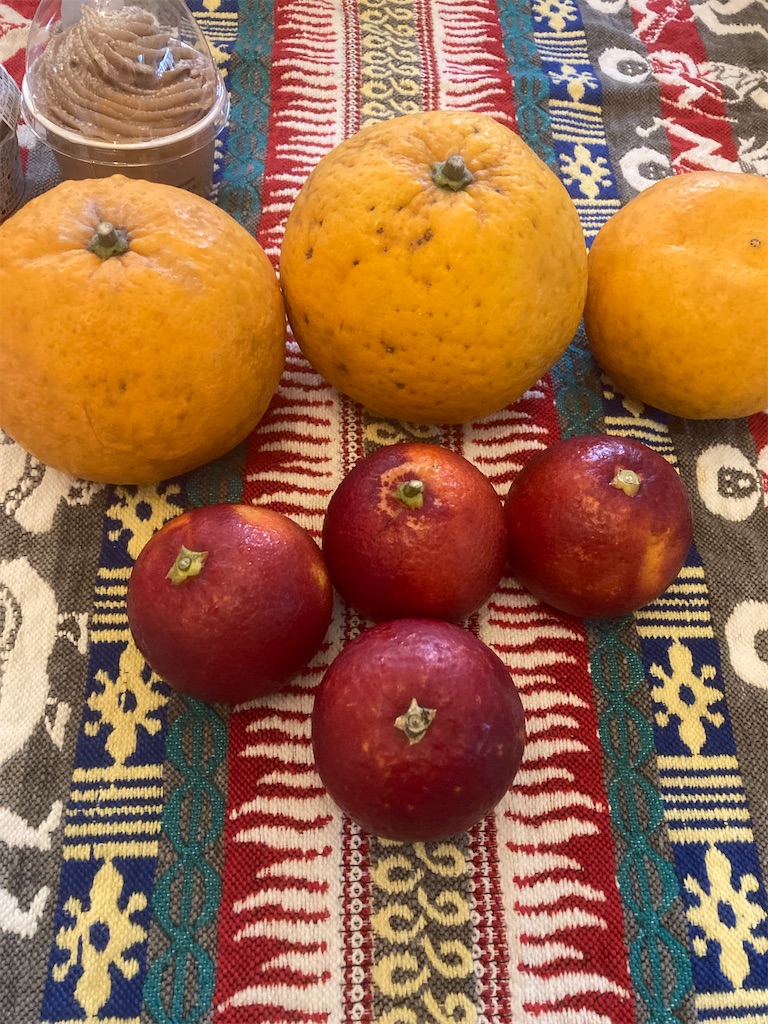 f:id:hatomunebba:20220407004246j:image f:id:hatomunebba:20220407004246j:image