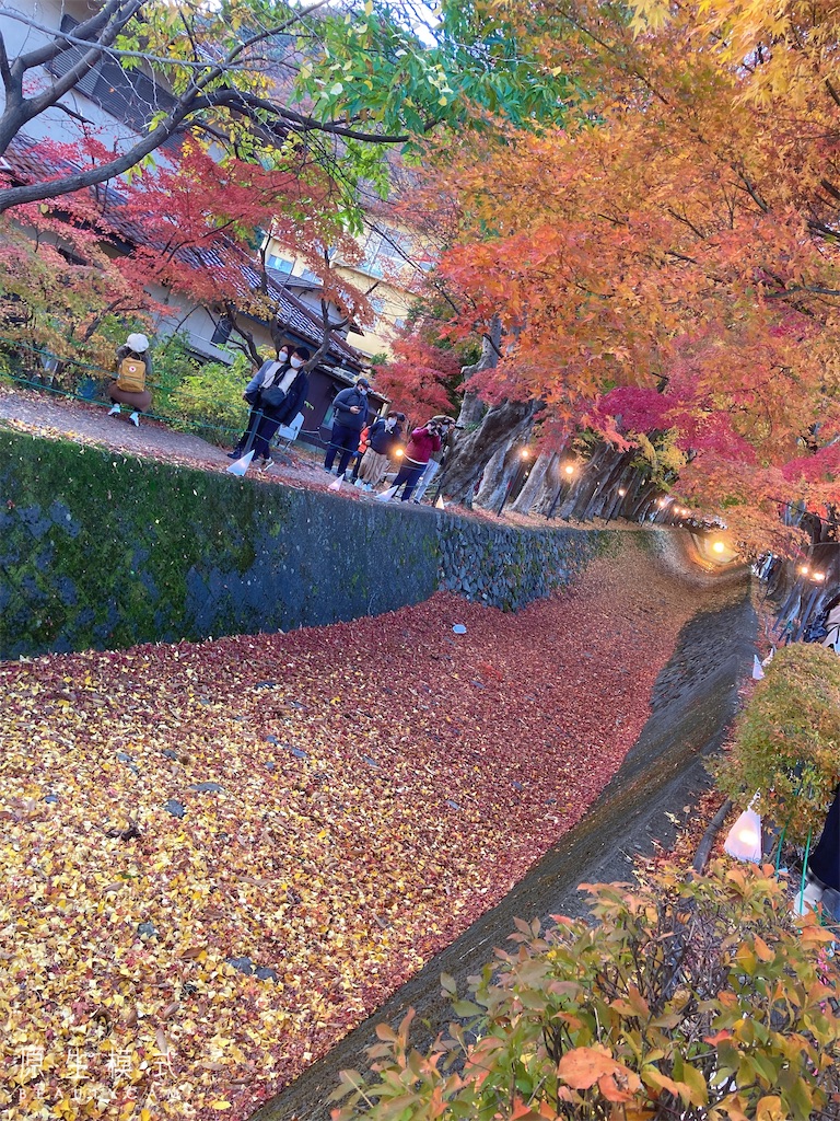 f:id:hatomunebba:20230117013817j:image f:id:hatomunebba:20230117013817j:image