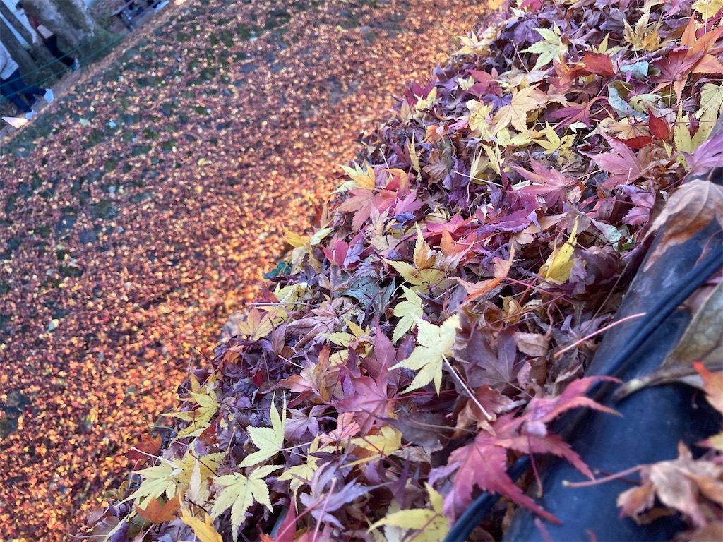 f:id:hatomunebba:20230117013820j:image f:id:hatomunebba:20230117013820j:image