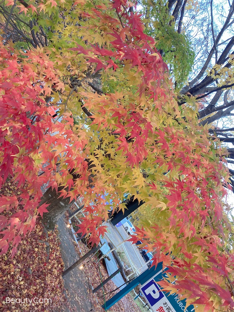 f:id:hatomunebba:20230117013829j:image f:id:hatomunebba:20230117013829j:image