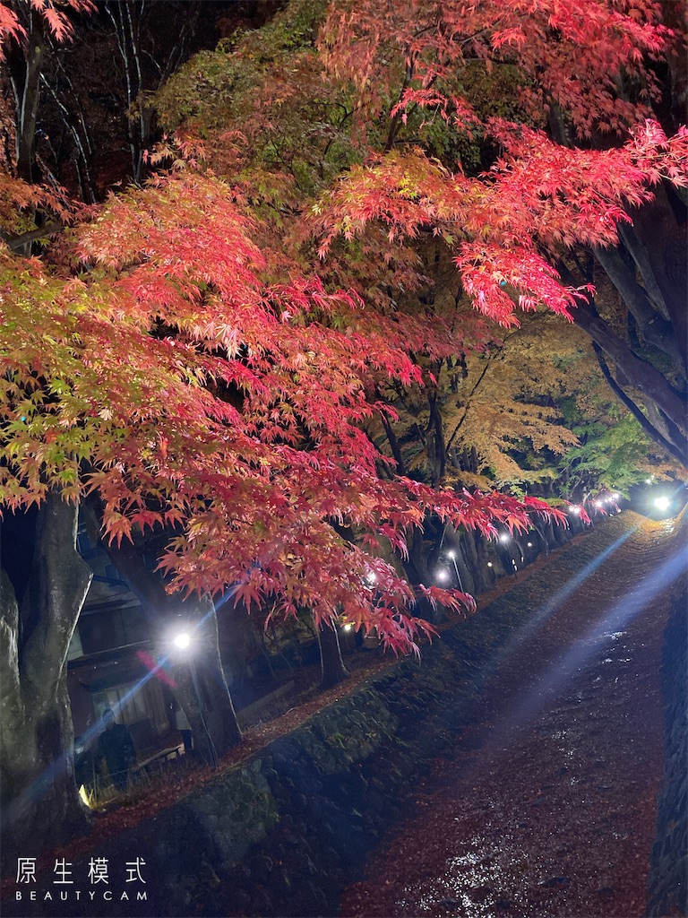 f:id:hatomunebba:20230117013838j:image f:id:hatomunebba:20230117013838j:image