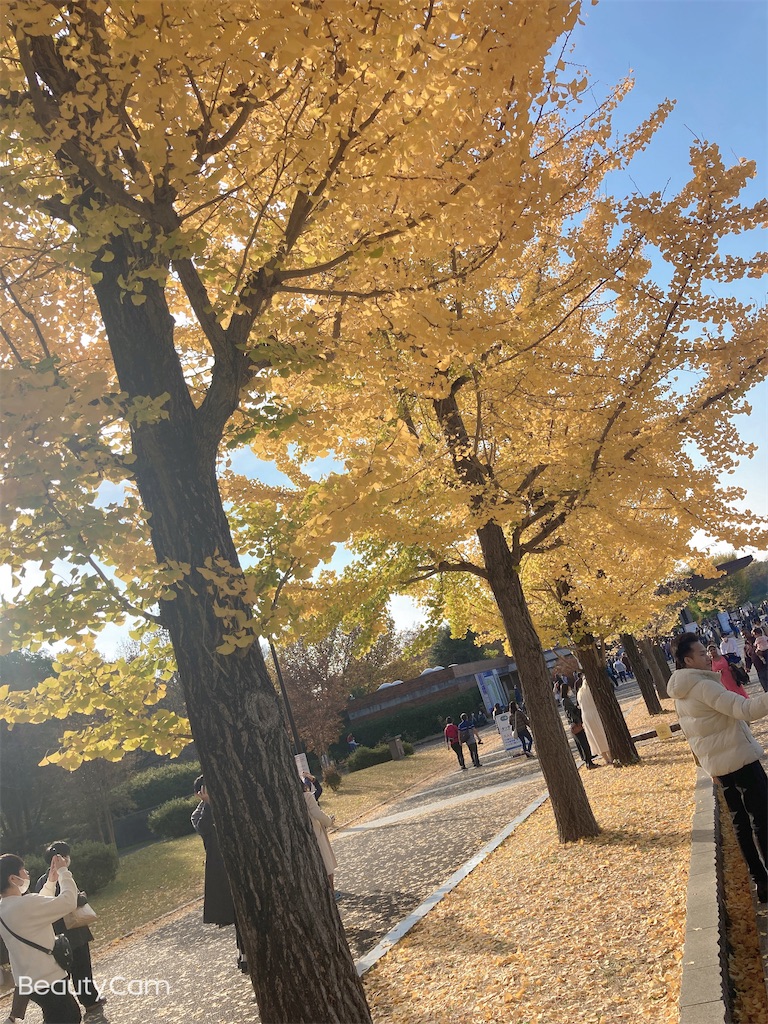 f:id:hatomunebba:20230124022332j:image f:id:hatomunebba:20230124022332j:image