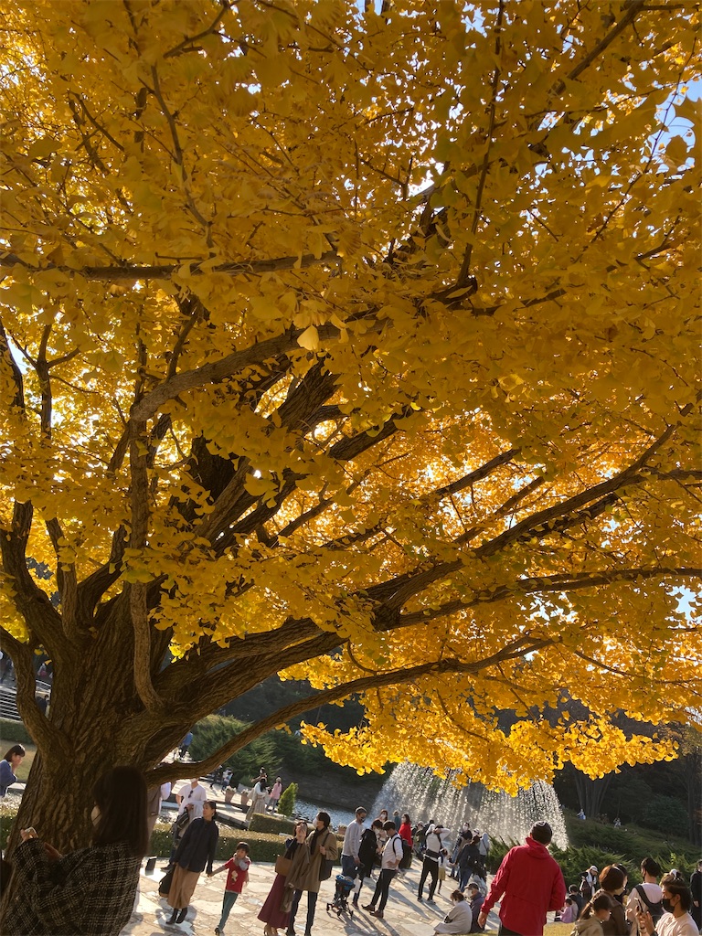 f:id:hatomunebba:20230124022335j:image f:id:hatomunebba:20230124022335j:image