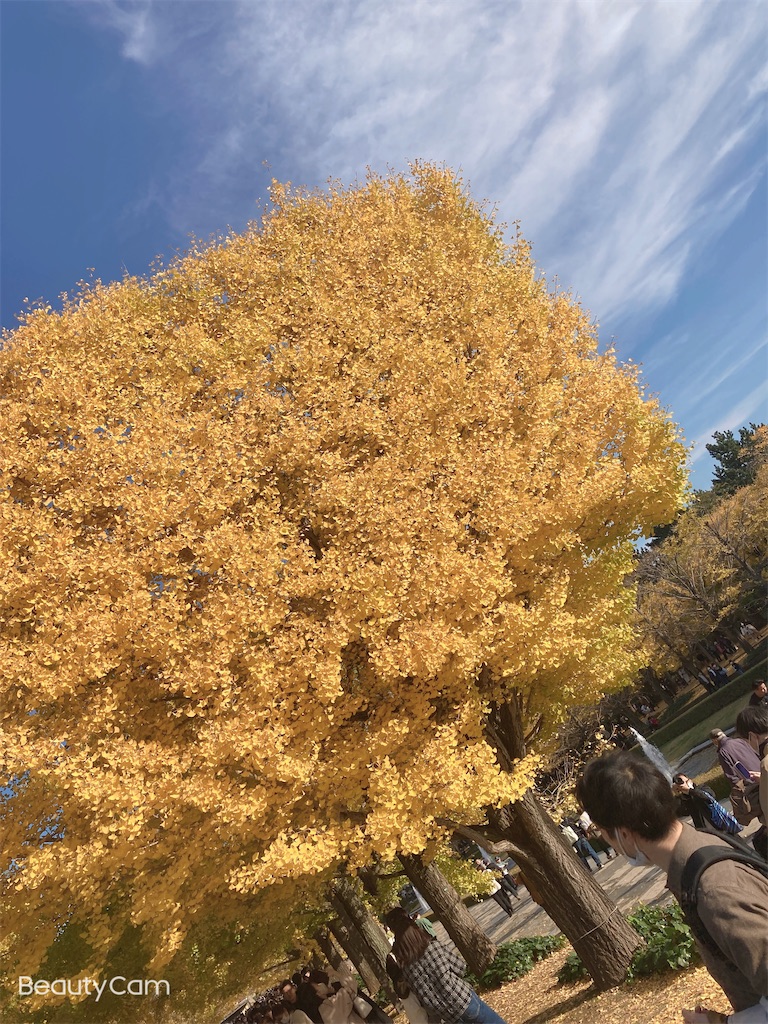 f:id:hatomunebba:20230124022338j:image f:id:hatomunebba:20230124022338j:image