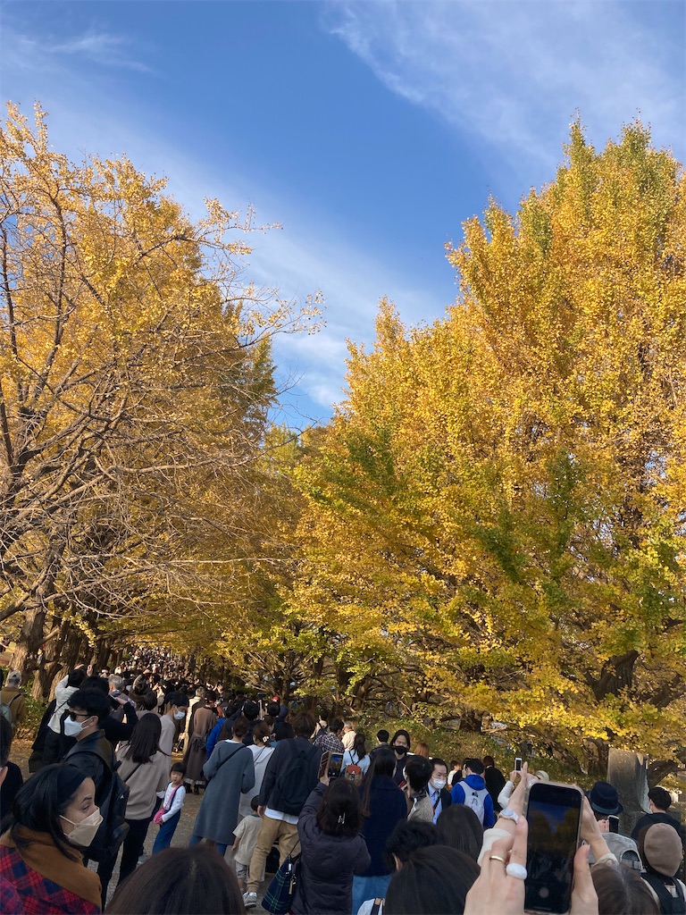 f:id:hatomunebba:20230124022341j:image f:id:hatomunebba:20230124022341j:image